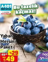 YABAN MERSİNİ PAKET